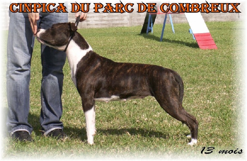 Cinpica du Parc de Combreux