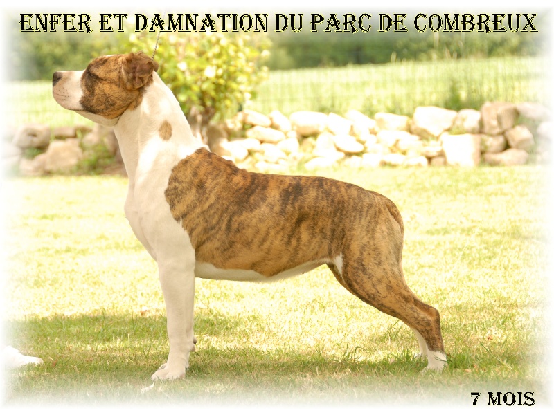 Enfer et damnation du Parc de Combreux
